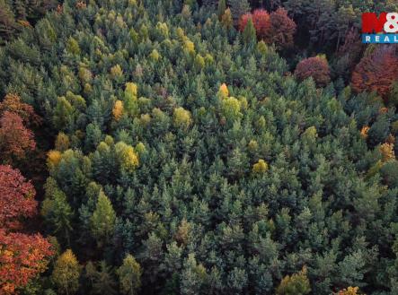 DJI_0100.jpg | Prodej - pozemek, les, 26 435 m²