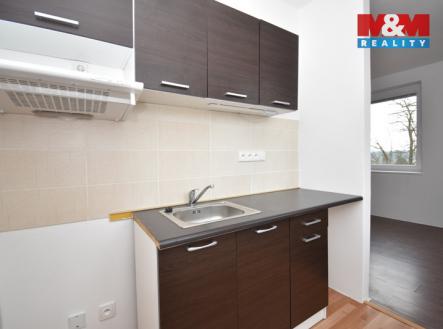 DSC_0374.jpg | Pronájem bytu, 1+kk, 30 m²