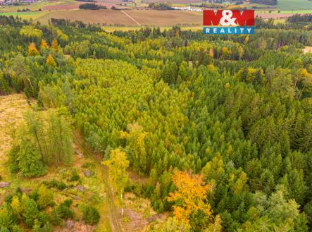 1.jpg | Prodej - pozemek, les, 12 446 m²