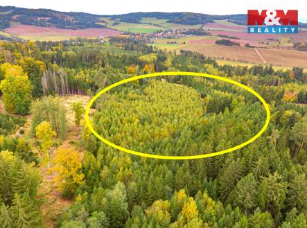 2 (kopie).jpg | Prodej - pozemek, les, 12 446 m²