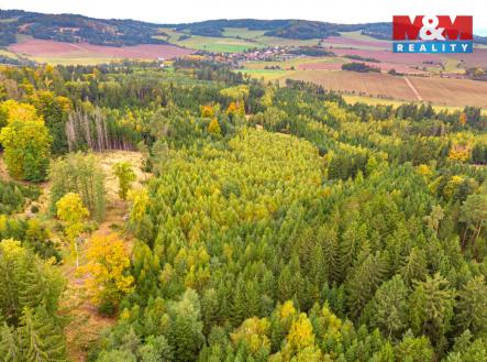 2.jpg | Prodej - pozemek, les, 12 446 m²