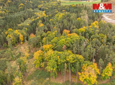 4.jpg | Prodej - pozemek, les, 39 171 m²