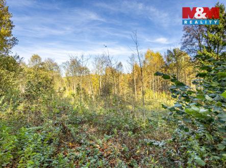 Pohled na pozemek | Prodej - pozemek pro bydlení, 3 659 m²