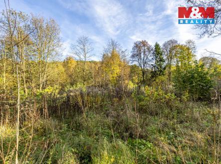 Pohled na pozemek | Prodej - pozemek pro bydlení, 3 659 m²