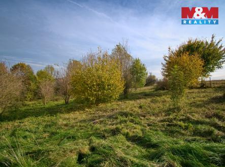 358-ZooDSC_7858.jpg | Prodej - pozemek pro bydlení, 1 370 m²