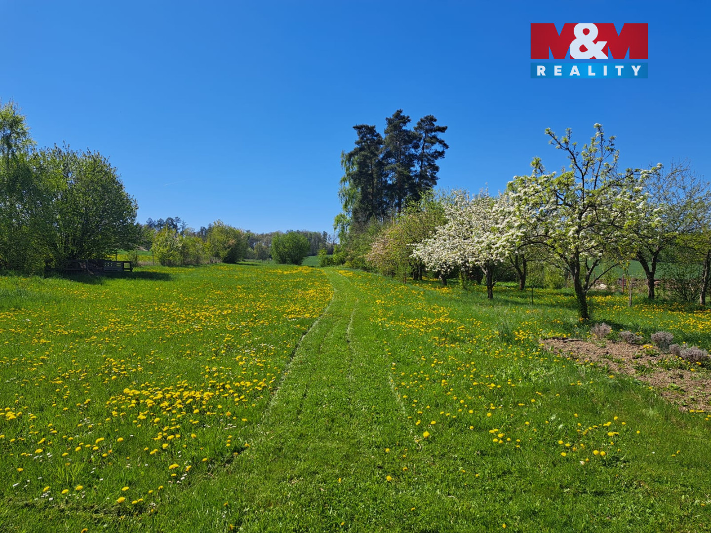 WhatsApp Image 2025-10-19 at 09.48.15.jpeg