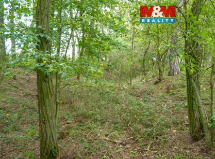pohled do lesa  | Prodej - pozemek, les, 675 m²