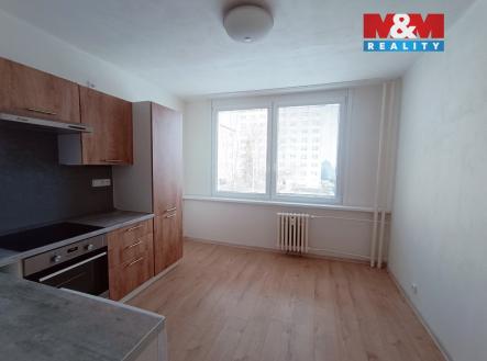 IMG_20240111_140205.jpg | Pronájem bytu, 1+1, 41 m²