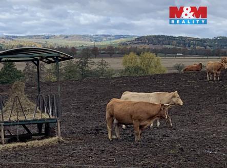 IMG_4496.jpg | Prodej - pozemek pro bydlení, 3 913 m²