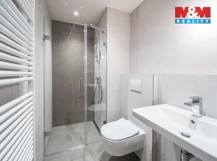 DSC02461a.jpg | Pronájem bytu, 1+kk, 35 m²