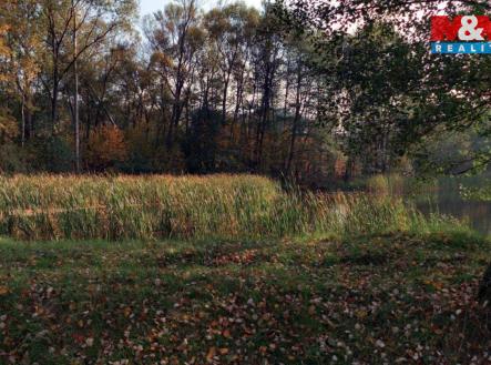 pohled od rybnika | Prodej - pozemek, trvalý travní porost, 5 258 m²