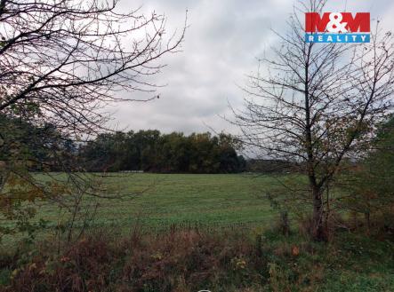 2.jpg | Prodej - pozemek, trvalý travní porost, 2 513 m²