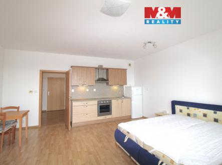 IMG_0614.jpg | Pronájem bytu, 1+kk, 38 m²