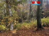 Prodej - pozemek, les, 562 m²