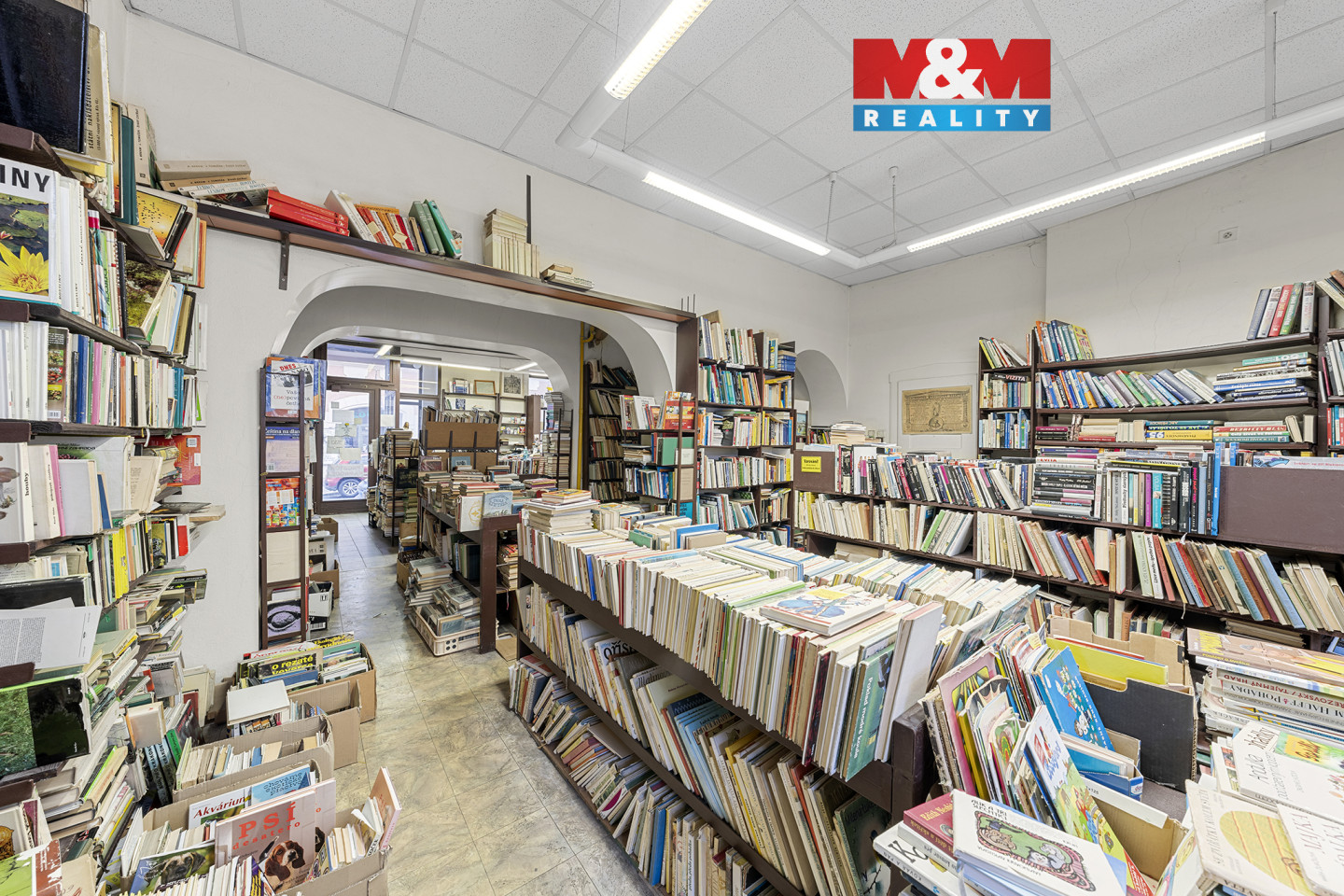 Palacke╠üho 740_3.jpg