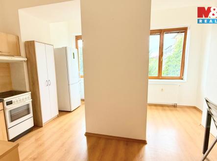 IMG_0752.jpeg | Pronájem bytu, 1+1, 55 m²