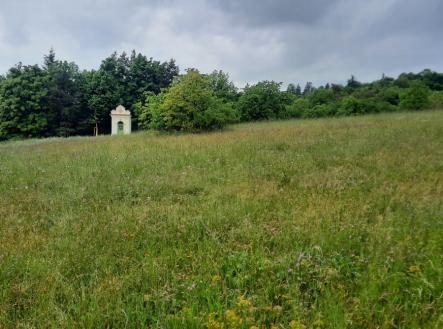 20250519_165240.jpg | Prodej - pozemek, zahrada, 1 419 m²