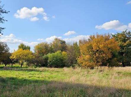 f11.jpg | Prodej - pozemek pro bydlení, 3 213 m²