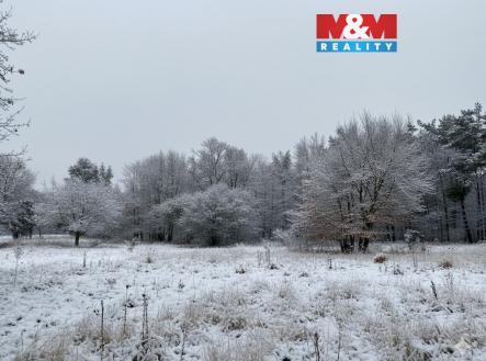 unnamed (1).jpg | Prodej - pozemek pro bydlení, 3 213 m²