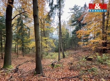 111.jpeg | Prodej - pozemek, les, 6 855 m²