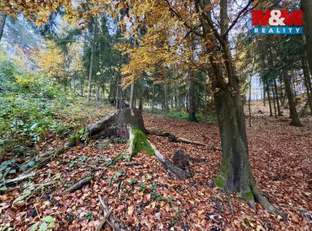 112.jpeg | Prodej - pozemek, les, 6 855 m²