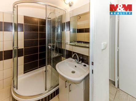 IMG_09974654.jpg | Pronájem bytu, 1+1, 39 m²