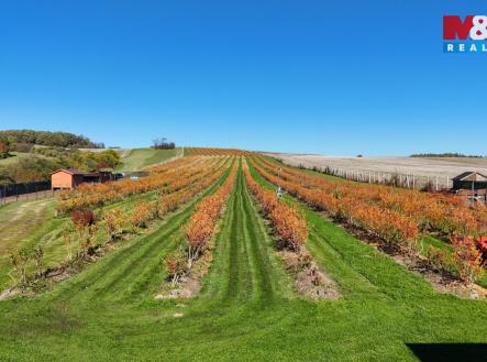 DJI_20251020121813_0615_D.jpeg | Prodej - pozemek, zemědělská půda, 70 922 m²