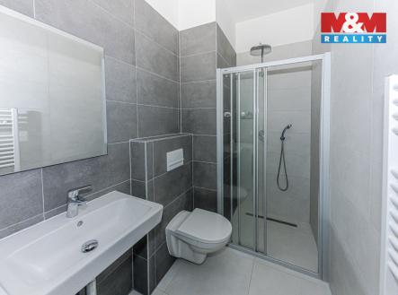 IMG_10134665.jpg | Pronájem bytu, 2+kk, 50 m²