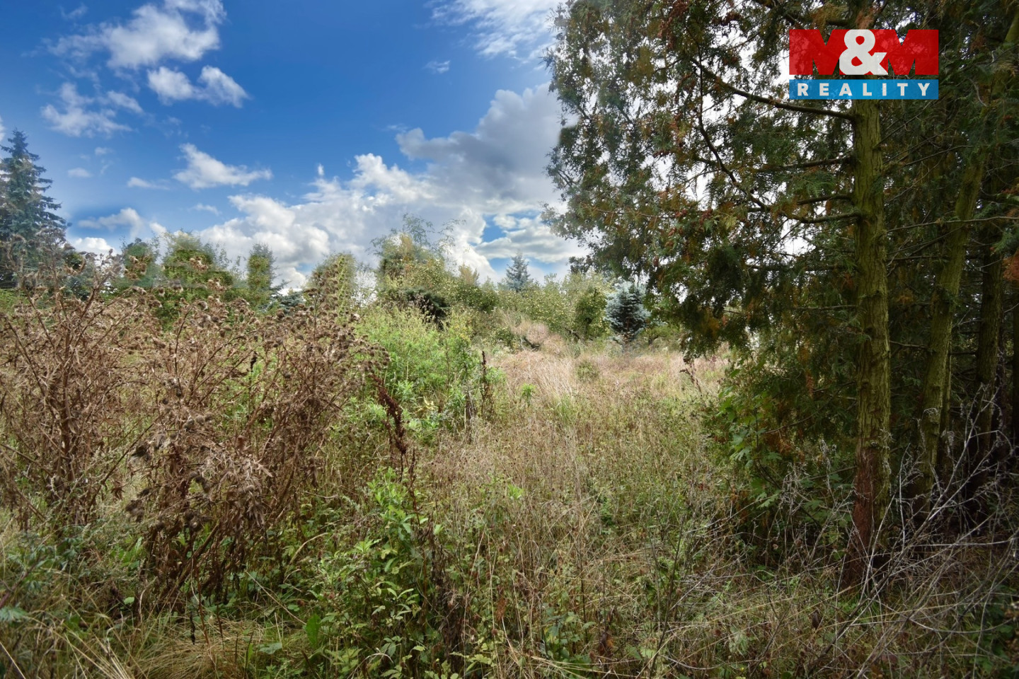 DSC_0638 (Kopírovat).jpg