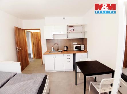 20250617_110212(1).jpg | Pronájem bytu, 1+kk, 20 m²