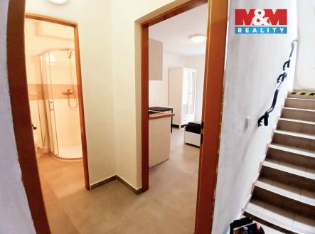 20250617_110058_1.jpg | Pronájem bytu, 1+kk, 20 m²