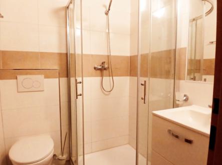 20250617_110408_1.jpg | Pronájem bytu, 1+kk, 20 m²