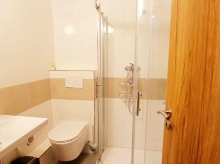 20251030_092259.jpg | Pronájem bytu, 1+1, 43 m²