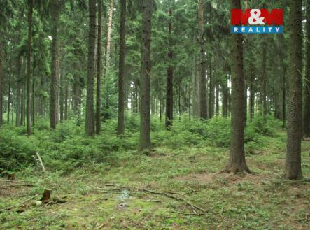 les.jpg | Prodej - pozemek, les, 12 970 m²