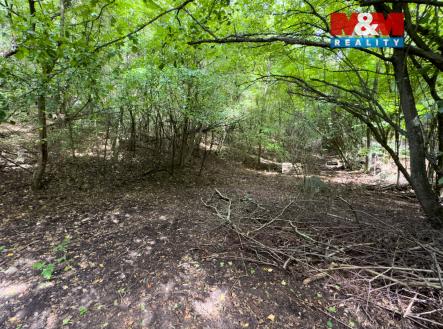 IMG_8978.jpg | Prodej - pozemek, zahrada, 1 508 m²