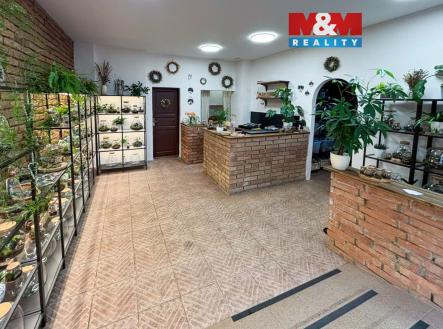 viber_image_2025-10-31_12-00-46-438.jpeg | Prodej - obchodní prostor, 47 m²