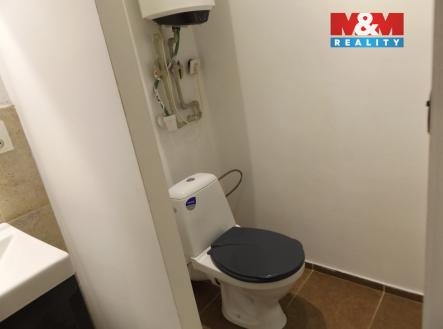 DSCF6043.jpg | Pronájem bytu, 1+1, 28 m²