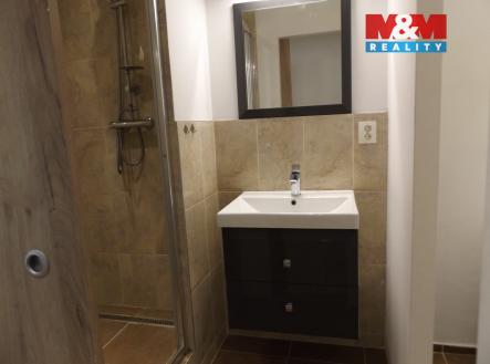 DSCF6045.jpg | Pronájem bytu, 1+1, 28 m²