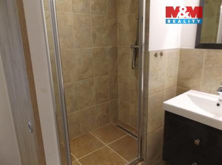 DSCF6046.jpg | Pronájem bytu, 1+1, 28 m²