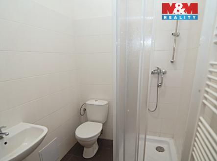 11N_4620.jpg | Pronájem bytu, 1+kk, 31 m²