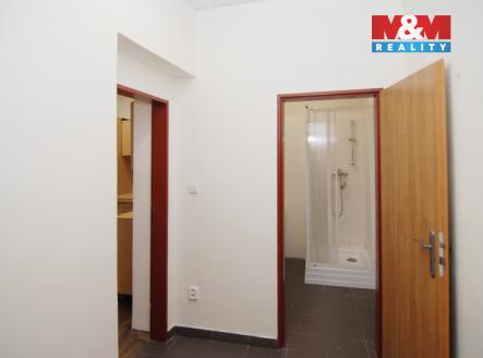 11N_4623.jpg | Pronájem bytu, 1+kk, 31 m²