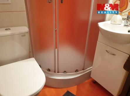 20210513_161736.jpg | Pronájem bytu, 1+kk, 22 m²