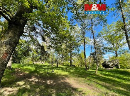 6.jpg | Prodej - pozemek, les, 3 719 m²