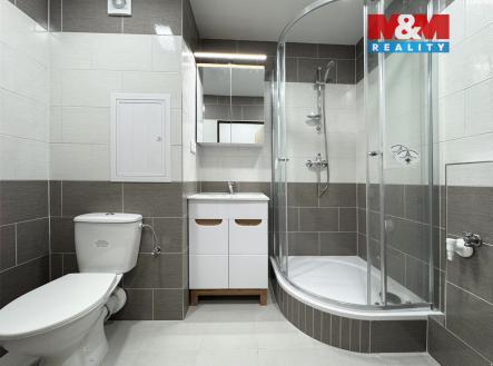 IMG_9999.jpg | Pronájem bytu, 1+1, 35 m²