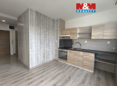 IMG_20251105_142508.jpg | Pronájem bytu, 1+1, 41 m²