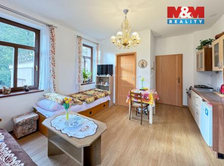 IMG_7648 (1).jpg | Pronájem bytu, 1+kk, 20 m²