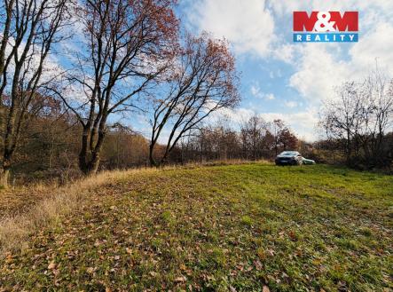 IMG_4206 (1).jpg | Prodej - pozemek, zemědělská půda, 5 000 m²