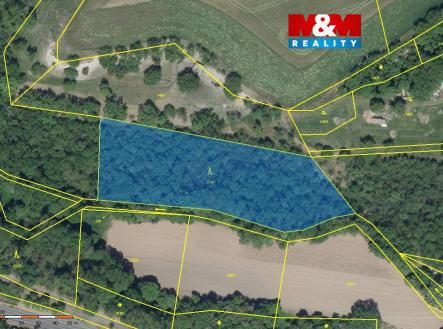 8ff78d7b-46fd-4b1f-bae8-22da165f3723.jpg | Prodej - pozemek, les, 6 203 m²