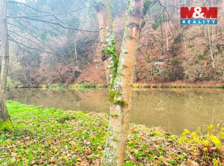 Pohled na řeku Sázavu | Prodej - pozemek pro bydlení, 546 m²