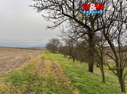 EA0FF5BE-ED91-4B35-BB9B-C4A5EEA31472_1_105_c.jpeg | Prodej - pozemek, zahrada, 901 m²